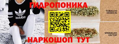 крисы Мариинск